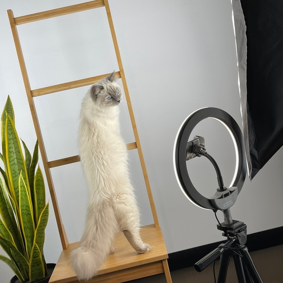 Meet your Posher, Kimberley - Picture 2 of 16